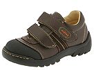 Aster Kids - Tim2 (Toddler) (Brown Leather) - Footwear by aster kids (kids kids shoes boys shoes toddler boys shoes toddler boys european european hook loop)