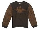 Tea Collection Condor Graphic Sweater ToddlerLittle Dark Chocolate Apparel