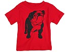 Appaman Bulldog Tee InfantToddlerLittle Red Apparel