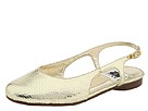 A Line - 6/A0278 (Youth) (Gold Metallic Snake)