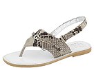D&G Junior - L92628 (Toddler/Youth) (Tan Snake Print)
