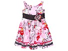 Baby Nay Kids - Rose Toile Puffy Bubble Dress (Toddler/Little Kids) (Charcoal/Floral)