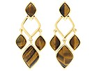 AK Anne Klein - 70088 Brasilia Cluster Earring (Gold/Tiger Eye) - Jewelry