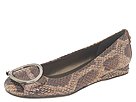 Stuart Weitzman - Glamflat (Brown Anaconda) - Footwear