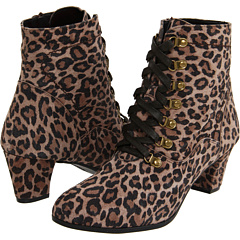 David Tate Faith (Tan Leopard Print) Footwear