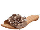 Born - Albright - Crown Collection (Pinenuts Metallic)
