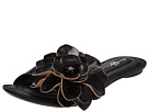Born - Albright - Crown Collection (Black)