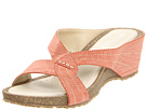 PATRIZIA - Avelle (Coral)