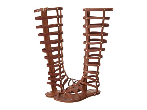 Upc 887865199052 Madden Girl Amily Tall Shaft Gladiator Sandals Women S Shoes Upcitemdb Com