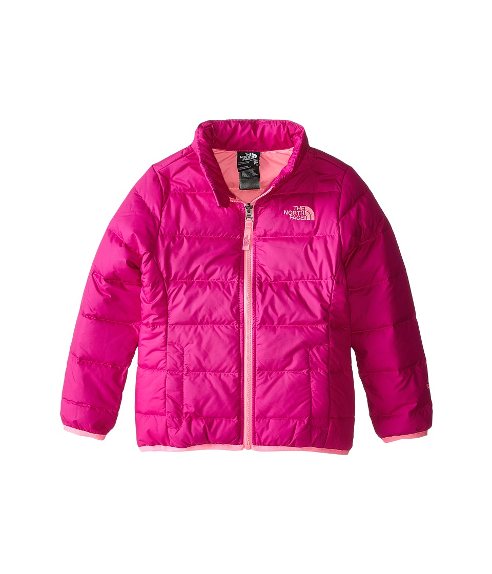 The North Face Kids Andes Down Jacket (Little Kids/Big Kids) (Luminous Pink) Girl