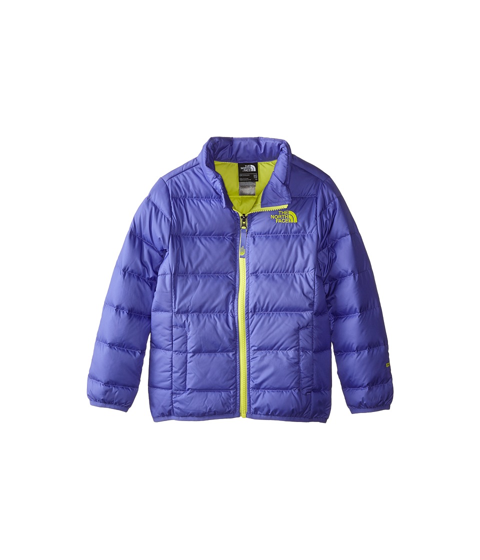 The North Face Kids Andes Down Jacket (Little Kids/Big Kids) (Starry Purple) Girl