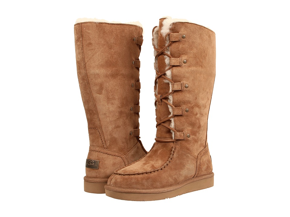 UGG - Appalachin (Chestnut Suede) Women