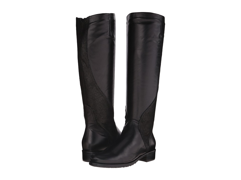 Sesto Meucci Safari (Black Soft Calf/Black Polvere) Women