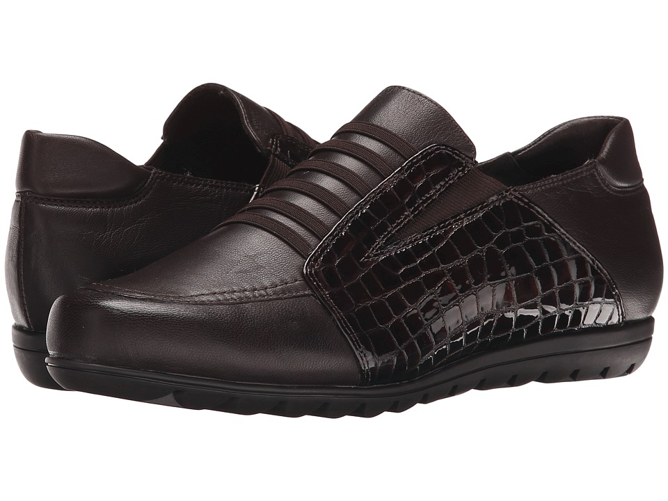 Vaneli Armon (Tmoro Nappa/Brown Cheppa Print/Tmoro Elastic) Women