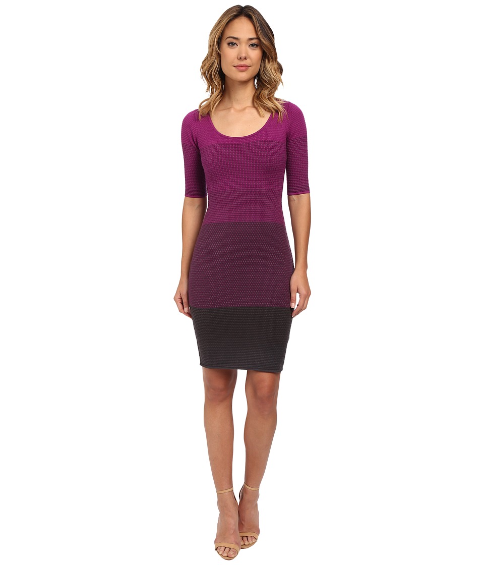 NYDJ - Adalyn Ombre Sweater Dress (Berry) Women