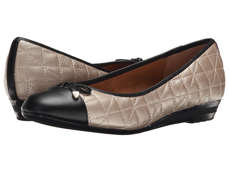 Sofft Shonda (Champagne/Black Velvet Sheep Nappa) Women