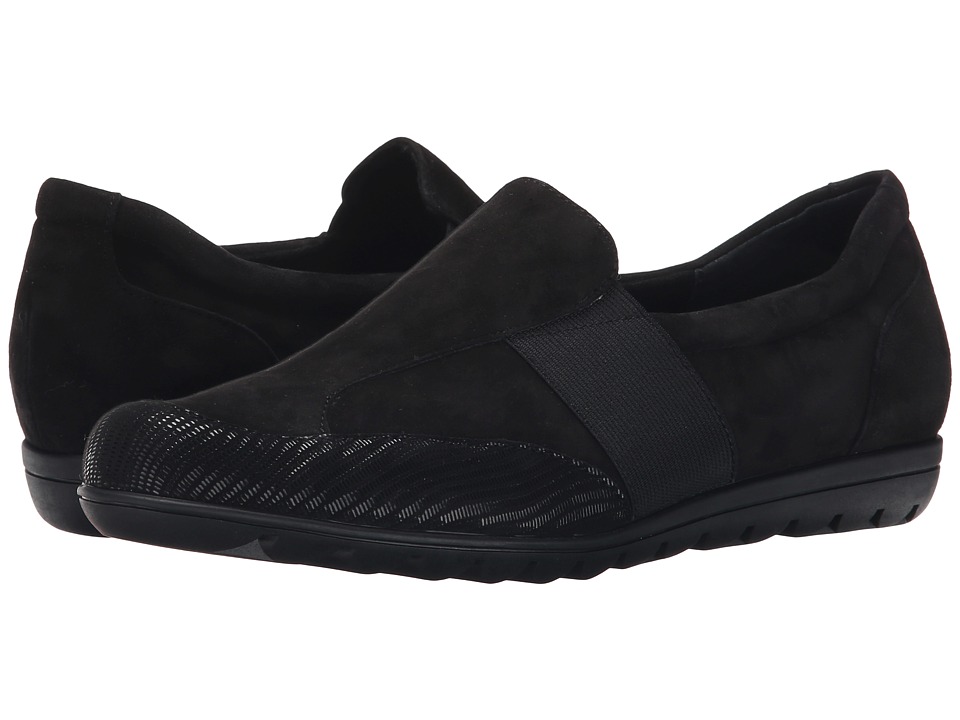 Vaneli Ashlen (Black E-Suede/Black Miniliz Print/Matching Elastic) Women