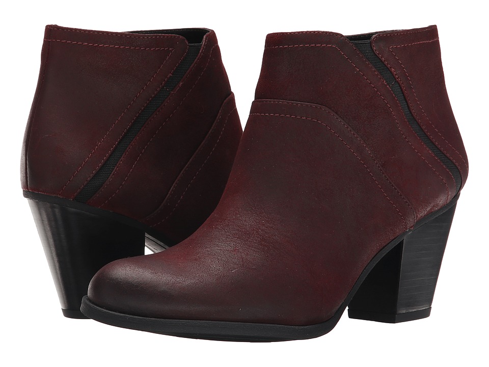 Franco Sarto - Domino (Bordo) Women