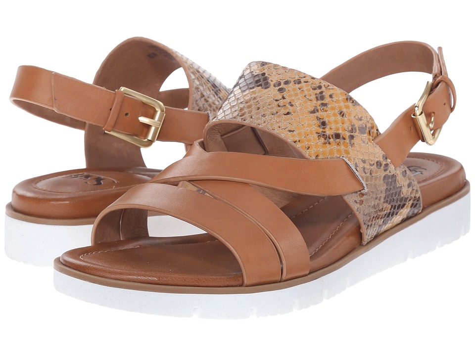 Sofft - Marisol (Luggage/Honey M-Vege/Elizabeth Snake Print) Women