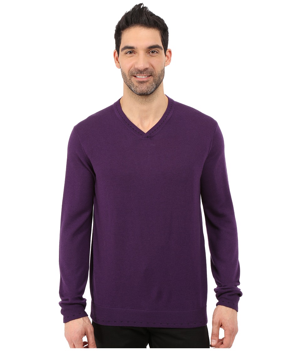 Robert Graham - Newcastle V-Neck Sweater (Blackberry) Men