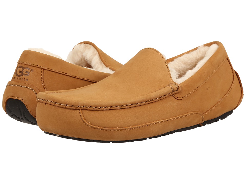UGG Ascot Wheat (Wheat) Men