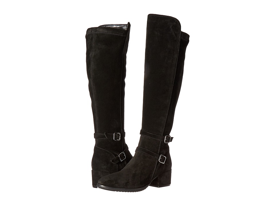 Sesto Meucci Fibby (Black Calf Suede/Black Calf Suede Stretch) Women