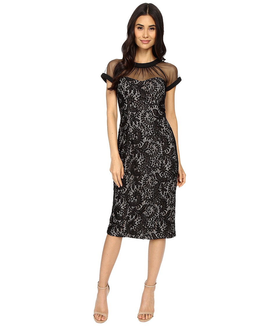 Maggy London Spanish Scroll Lace llusion Sheath Dress (Black) Women