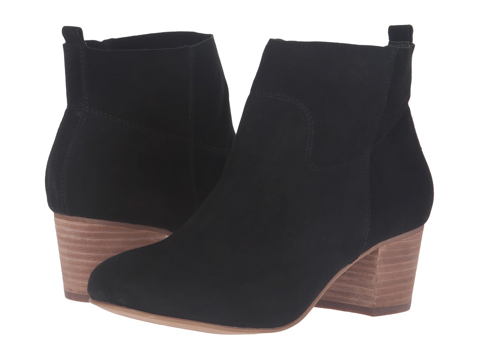 Steve Madden Harber (Black Suede) Women