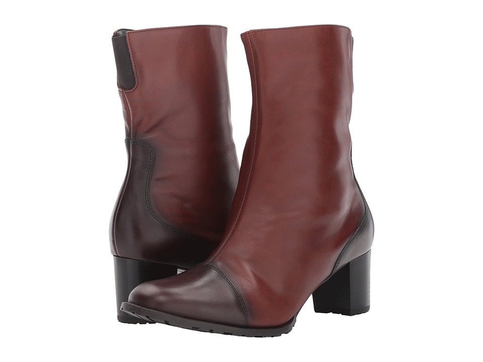 ara Brinkley (Brown/Dark Brown) Women
