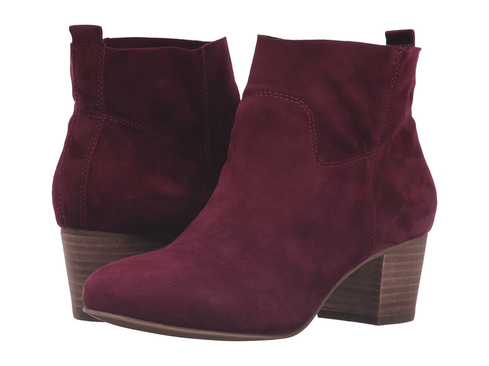 Steve Madden Harber (Burgundy Suede) Women