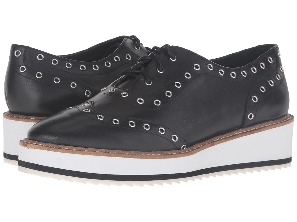 Shellys London Winchester (Black) Women