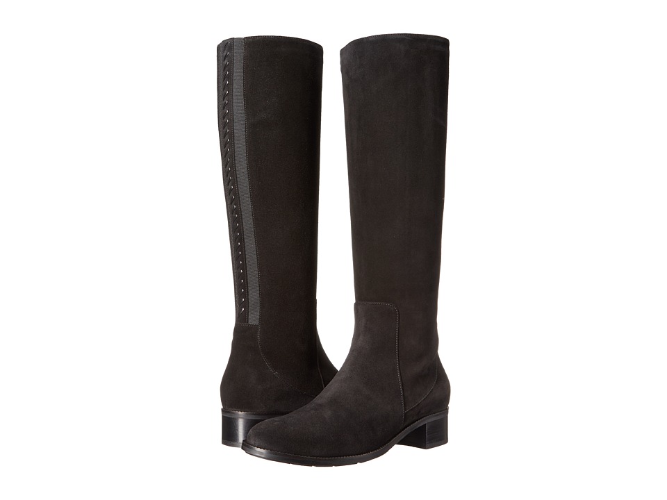 Aquatalia Olinda (Black Suede) Women