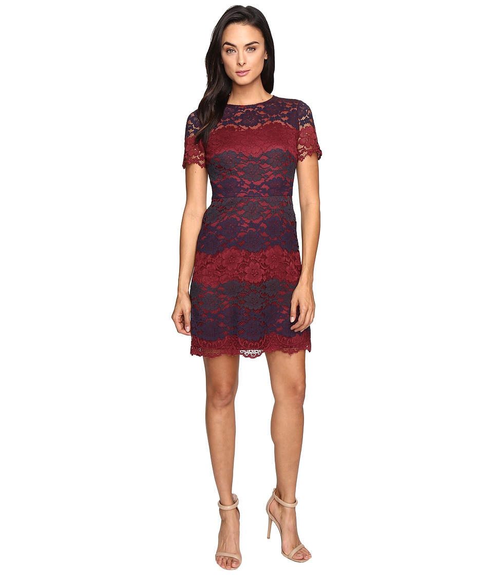 Maggy London Tri-Color Lace Fit and Flare (Wine/Navy) Women