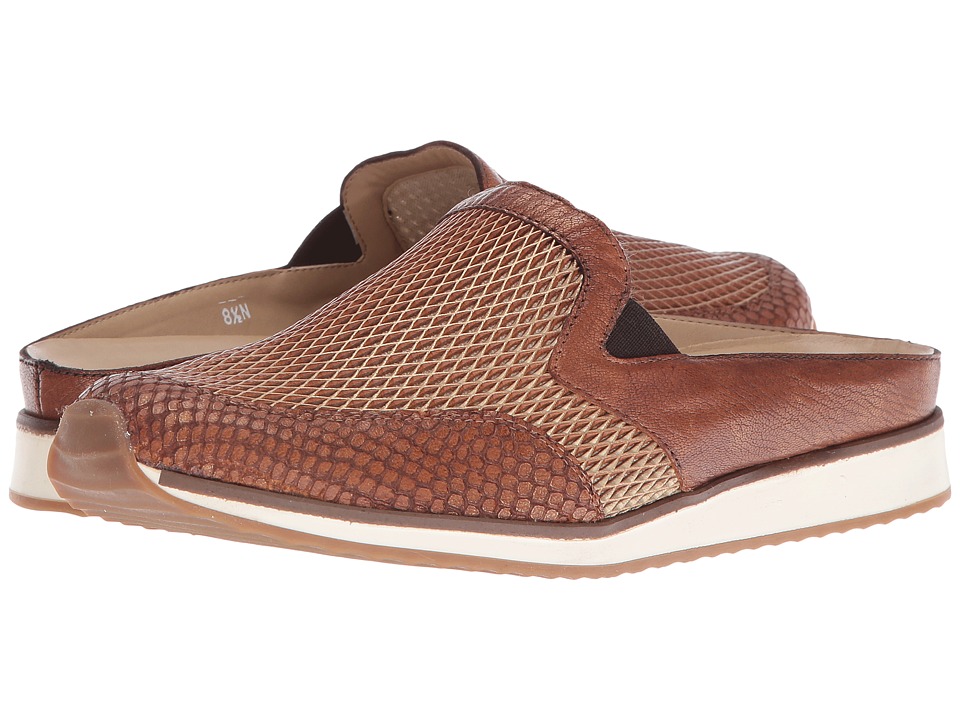 Sesto Meucci Caron (Cognac Speedy Surf/Cognac Chopin/Cognac Surf) Women