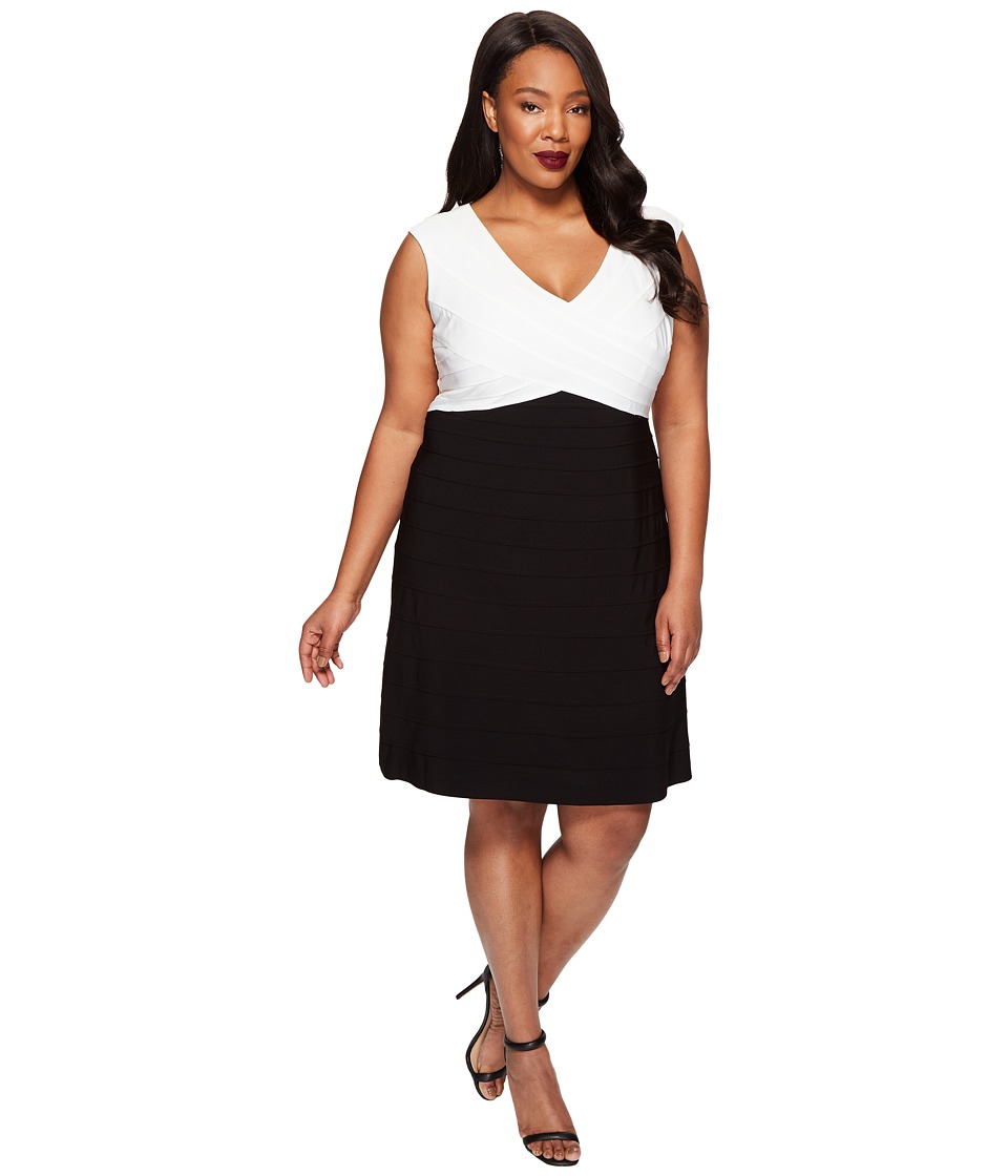 Adrianna Papell Plus Size Color Blocked Banded Fit and Flare (Black/Ivory) Women