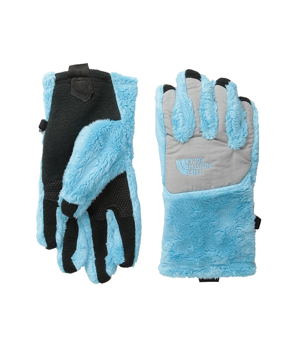 north face denali thermal etip gloves