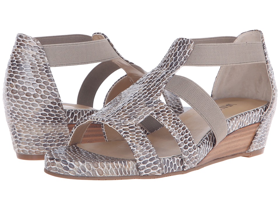 Vaneli Kamlyn (Taupe Per Print/Match Elastic) Women