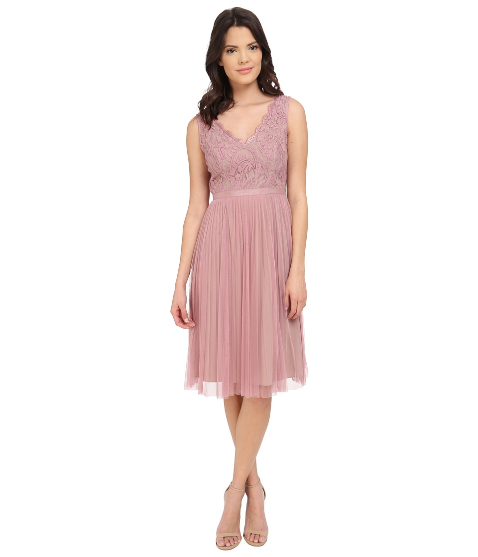 Adrianna Papell Fit and Flare Lace Combo Dress (Ashrose/Tan) Women