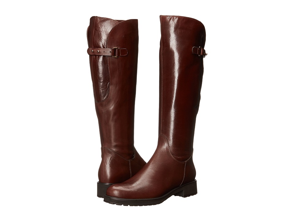 Sesto Meucci Waft (Tiziano New Calf/Gold Trim) Women
