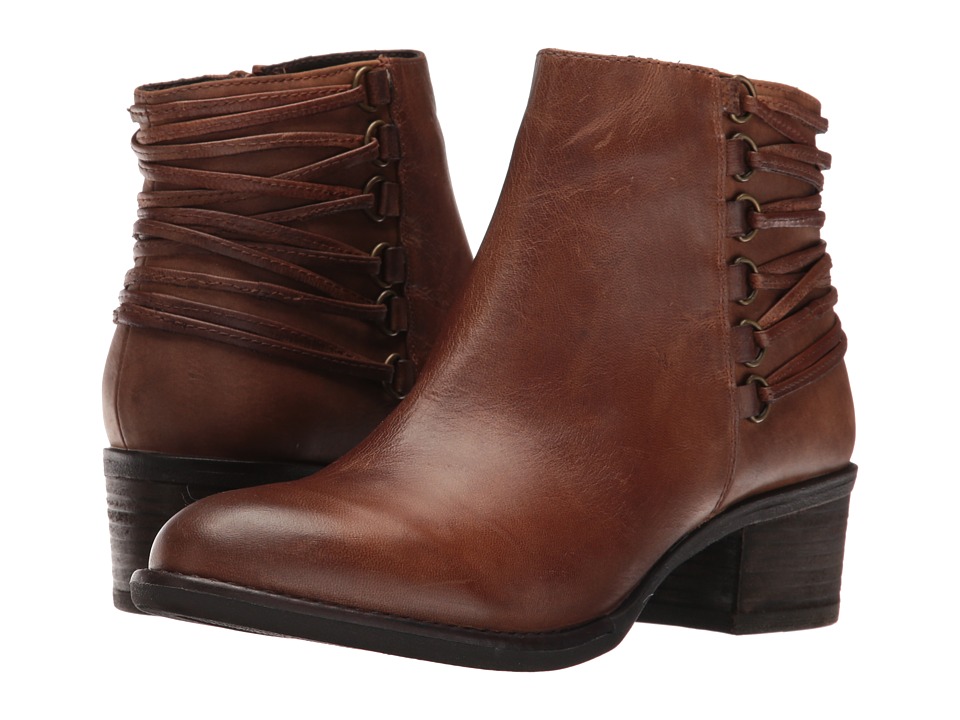 Steve Madden Caldor (Cognac Leather) Women