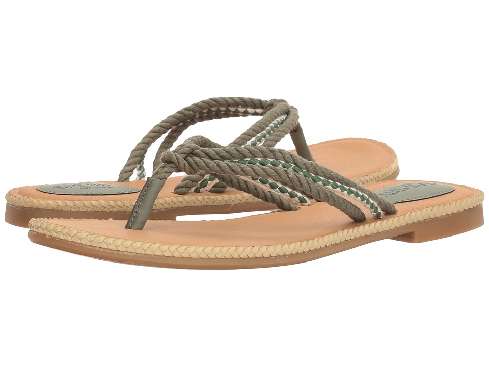 Sperry Anchor Coy Box (Olive) Women