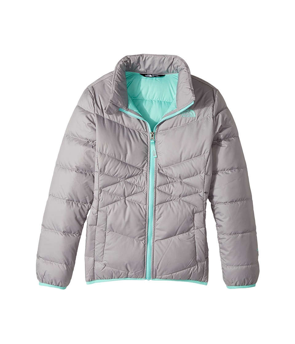 The North Face Kids Andes Down Jacket (Little Kids/Big Kids) (Metallic Silver (Prior Season)) Girl