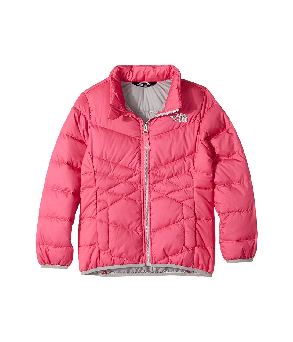 The North Face Kids Andes Down Jacket (Little Kids/Big Kids) (Petticoat Pink (Prior Season)) Girl