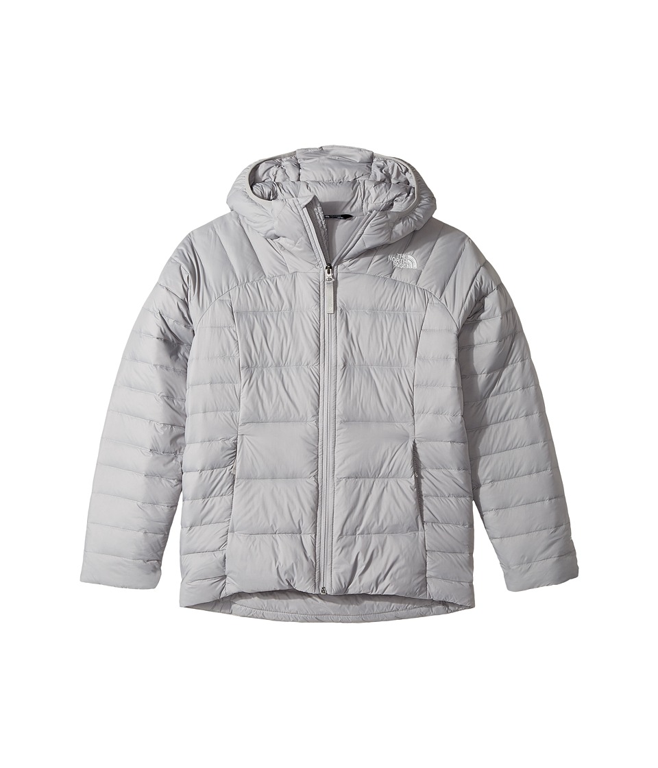 The North Face Kids Double Down Hoodie (Little Kids/Big Kids) (Metallic Silver (Prior Season)) Girl