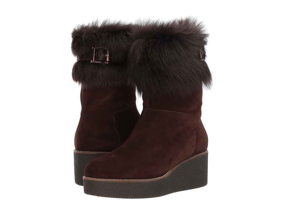 Aquatalia Vallaine (Dark Brown Suede) Women